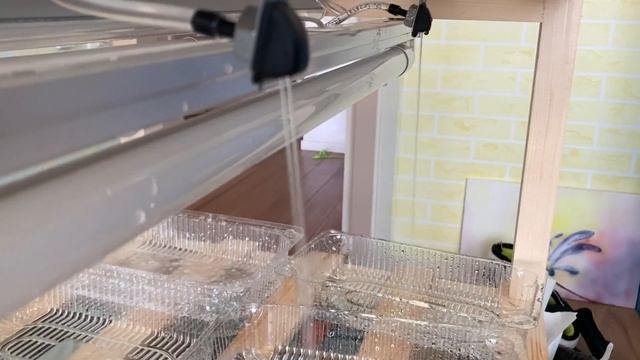 Теплица для микрозелени смотреть онлайн