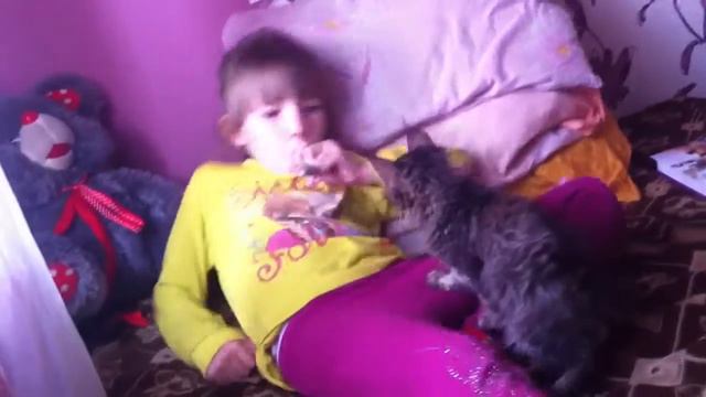Cute cat! || Серый играет с дудкой)) смотреть онлайн