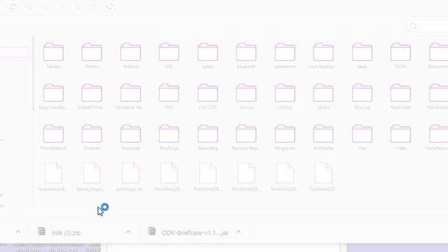 Extracting Data From Your Phone Into Excel Sheet Using ODK Briefcase.