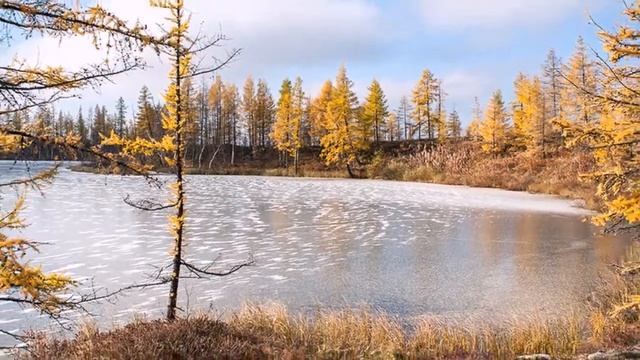 Предзимье (Ноябрь) смотреть онлайн