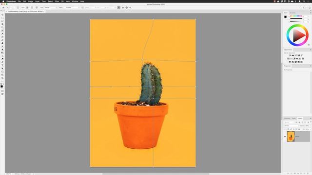 Creative Cloud New Features | Photoshop Warp Transform [4K] смотреть онлайн