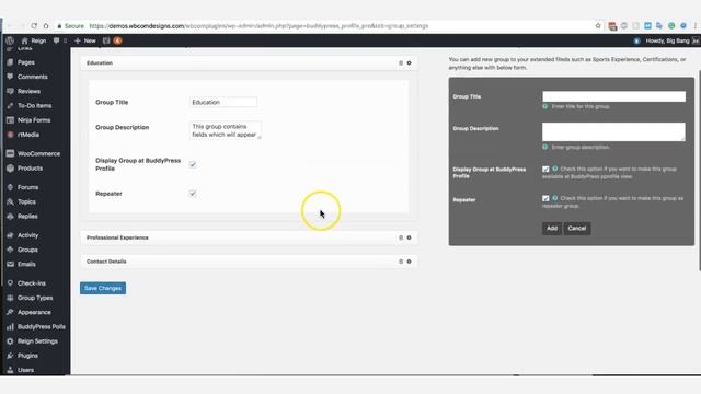 BuddyPress Profile Pro plugin | user profile extend, extended profile, BuddyPress profile fields смотреть онлайн
