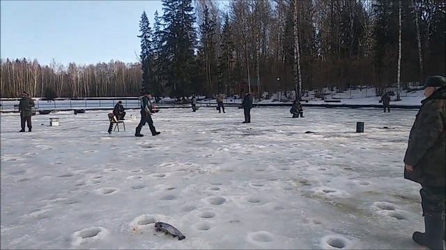 Оснастка с изюминкой даёт результат при ловле на резину. Клёвое место, Лосиный остров, спорт - зона смотреть онлайн