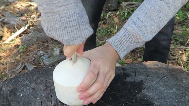 7 Coconut Gadgets put to the Test смотреть онлайн