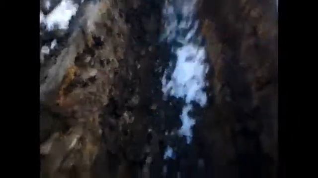 VLOG: Бегаем от охраны в кафе Баян - Гол. смотреть онлайн