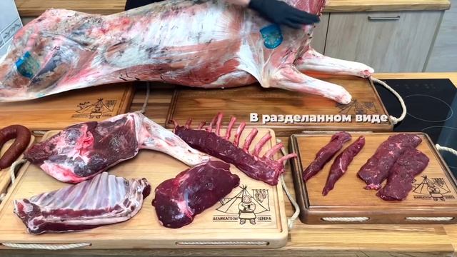 Творческие Моменты