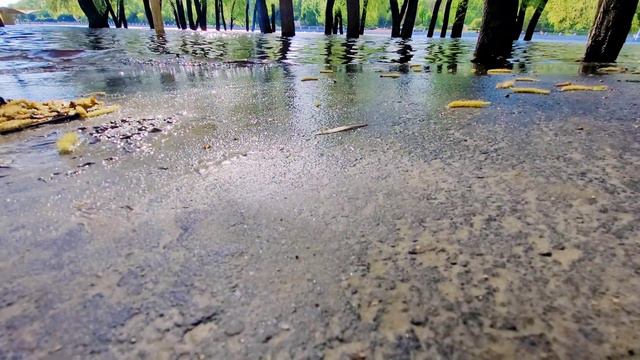 Вода всё ещё с нами! смотреть онлайн