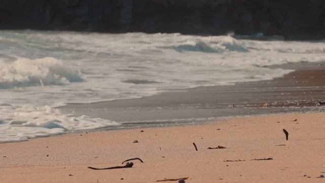 Песня. Женщина, как море. Стихи: Любовь Лабинцева. Музыка, гитара и исполнение: Марк Фуксов. смотреть онлайн