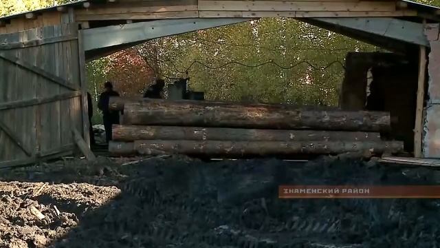 Батю сняли на скрытую камеру. Собственное расследование Анны Мартыновой. Потерянный лес 21.11.2015 смотреть онлайн