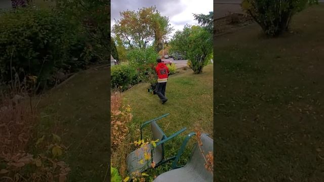 John Deere JS 60. Jared cuts my lawn with my well neglected #johndeere смотреть онлайн