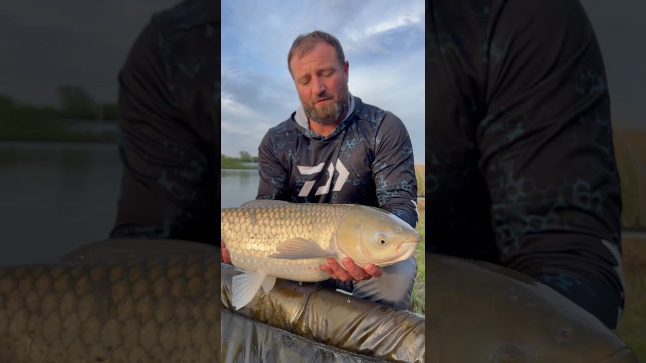 Большой Амур! смотреть онлайн