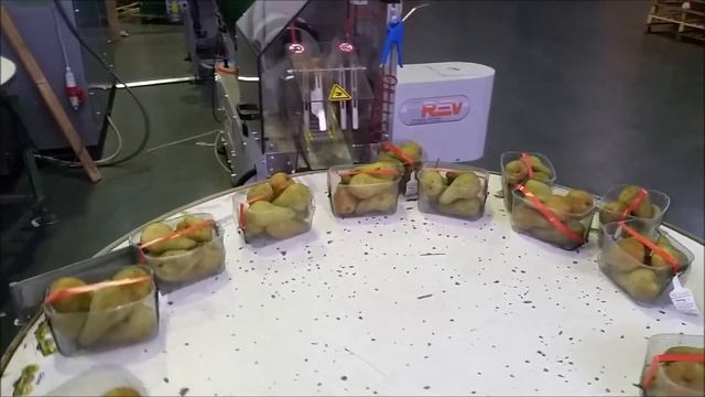 Упаковщик коррексов в сетку с клипсой, модель SPIDER, REV