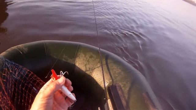 Убойный воблер AXA-80 от Apia/Spartas X IMA.На барракуду.А у нас - на жереха.Asp Fishing.