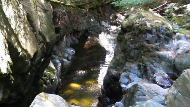 Brothers Creek  & Blue Gentian Lake, West Vancouver, BC - 2015