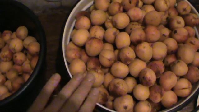 Курага в домашних условиях / Dried apricots at home смотреть онлайн