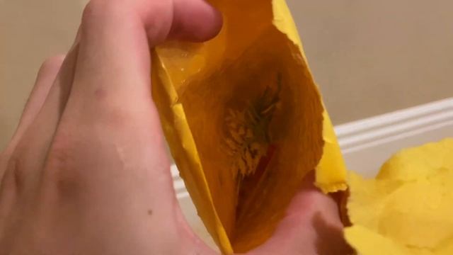 Zuru Robo Fish Alive OFFICIAL vs KNOCKOFF FAKES - Full Unboxing, Comparison, Testing смотреть онлайн
