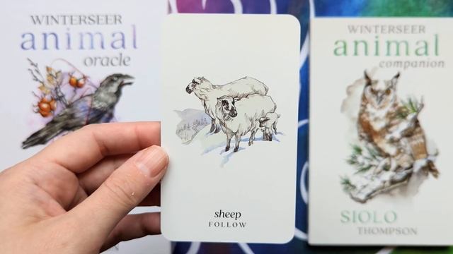 Winterseer Animal Oracle - Silent Flip-through смотреть онлайн