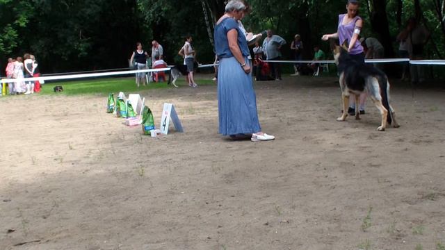 Больше статей и видео на Allbestdog.ru