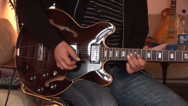 1972 Gibson ES-335 plus Hook R-20 combo (clean channel смотреть онлайн