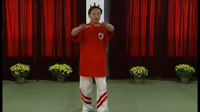 Программа обучения Ицюань / Yiquan / 3-й уровень смотреть онлайн