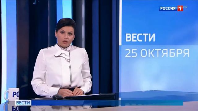 Сбежавший кот сутки летал между Москвой и Южно Сахалинском смотреть онлайн