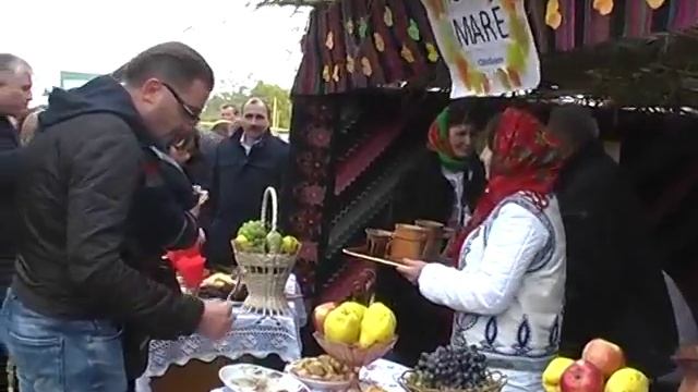 В с Цауль прошел фестиваль Gustul Nordului x264 смотреть онлайн
