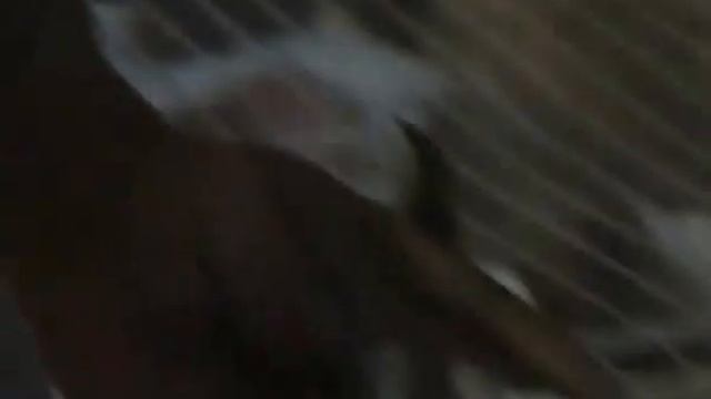 5 Татуировки смотреть онлайн