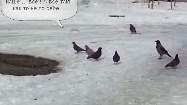 Кошка - животное авторитетное... смотреть онлайн