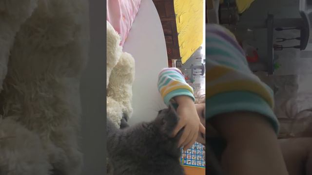 Сосёт медведя 🤦♀️😂 смотреть онлайн