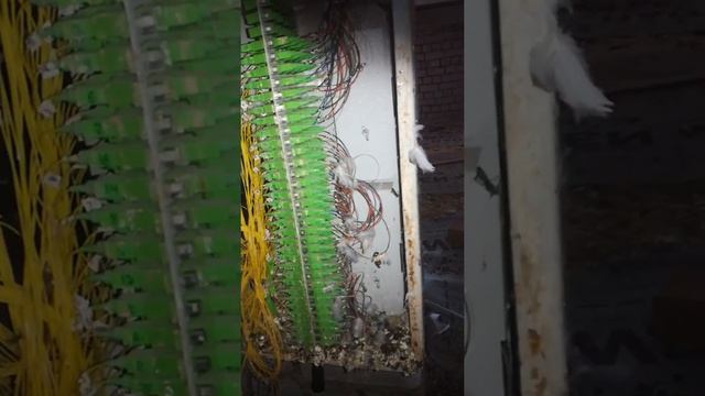 #ростелеком #gpon #интернет #оптикавдом смотреть онлайн