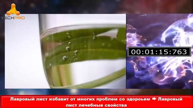 Возьмите лавровый лист на работу! Тайна Жрицы… смотреть онлайн