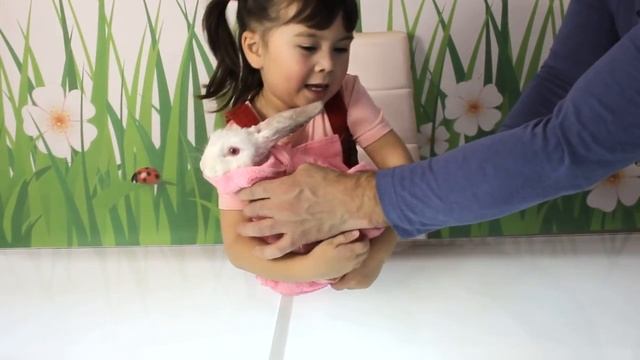 Белый кролик Снежок купается и играет с Ангелой смотреть онлайн