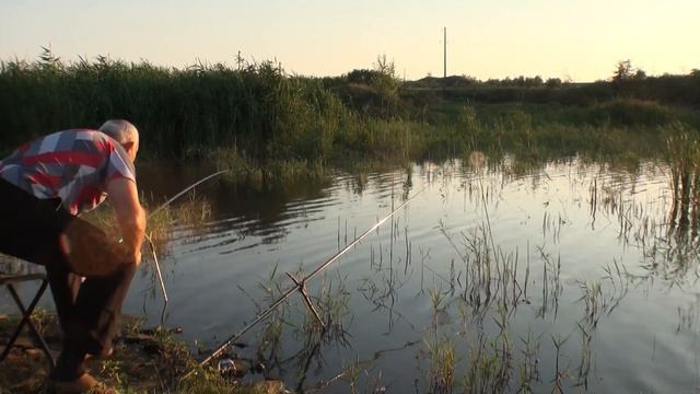 Ловля сазана на мелководье. смотреть онлайн