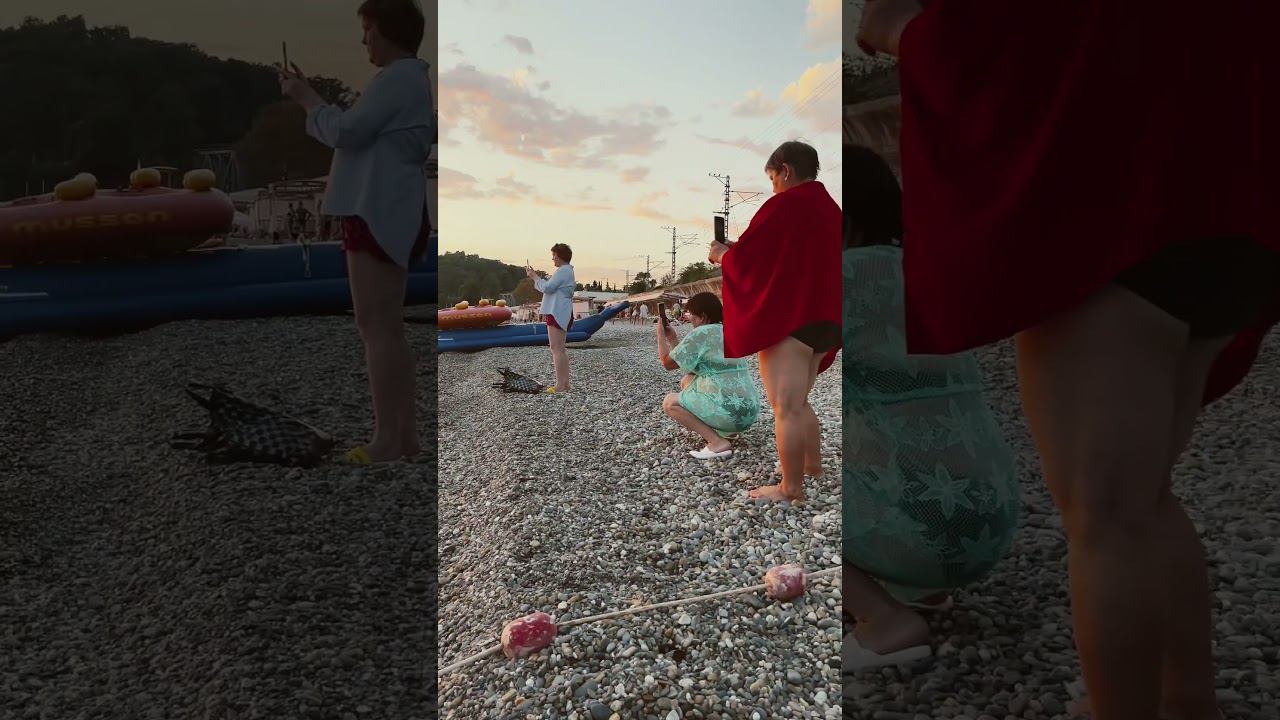 Снимаю закат на море. Вардане. #отдыхвсочи #сочи смотреть онлайн