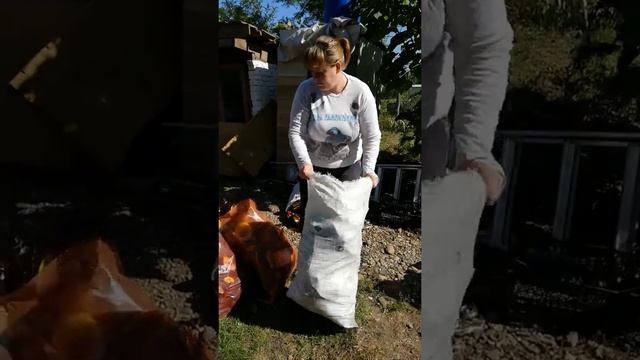 Опыт Муравейника: Как подготовить вторичные отходы к сдаче в пункт приёма смотреть онлайн