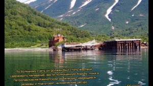 Секретный? город? подводников Бечевинка, Финвал, Петропавловск-Камчатский 54⚓?
