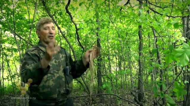 3 DVD — Ловля роёв (1 час 41 минута)