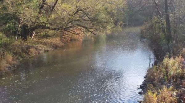 London, Ontario - A River Runs Through It
