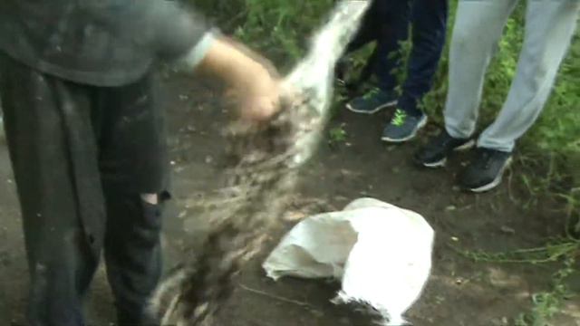 шкура леопарда смотреть онлайн
