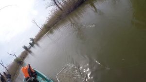 Ловля жереха. Астраханская рыбалка, дельта Волги.