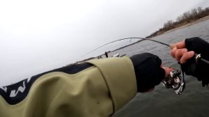 Окуни больше кило на ультралайт весной! Трофейная рыбалка на спиннинг / Arion 742SULS и крупная рыб