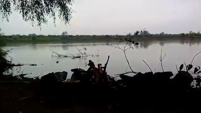 Рыбалка. Река Кубань.Звуки природы. смотреть онлайн