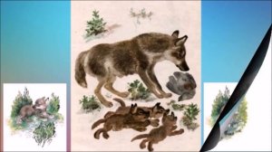 Е Чарушин Большие и маленькие