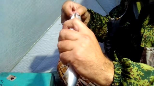 ВЕРХНИЙ ТОБОЛ, ЛОВИМ СИГА, РИПУСА, ЛЕЩА, КУПАЛЬНЫЙ СЕЗОН СО ЛЬДА ОТКРЫТ! РЫБАЛКА В КАЗАХСТАНЕ! смотреть онлайн