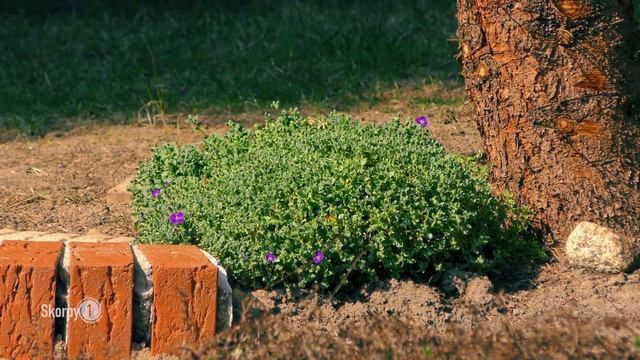 Test Panasonic HC-X1000 смотреть онлайн