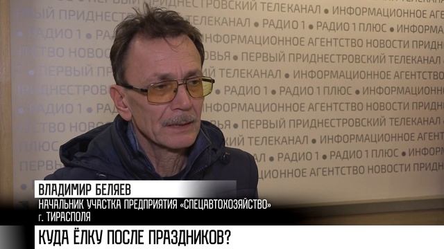 Куда ёлку после праздников? смотреть онлайн