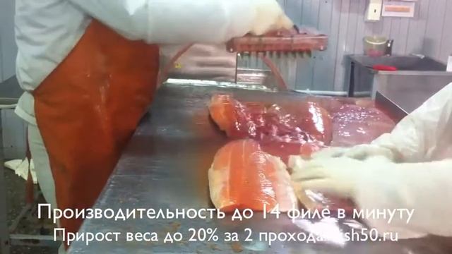 Инъектирование красной и белой рыбы. Ручной инъектор. Пластина для филе. Или пистолет и 1-3 иглы смотреть онлайн