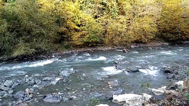 Река Мзымта чуть выше Розы Хутор смотреть онлайн