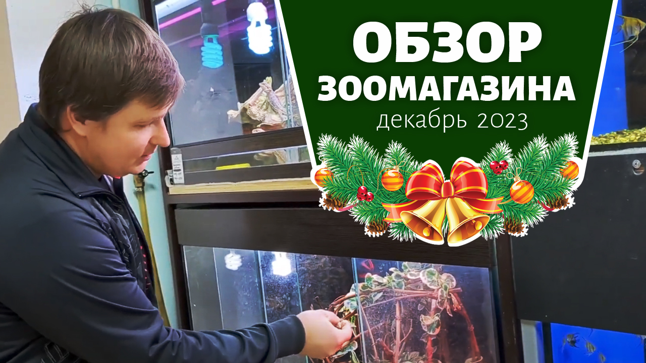 Зоомагазин 