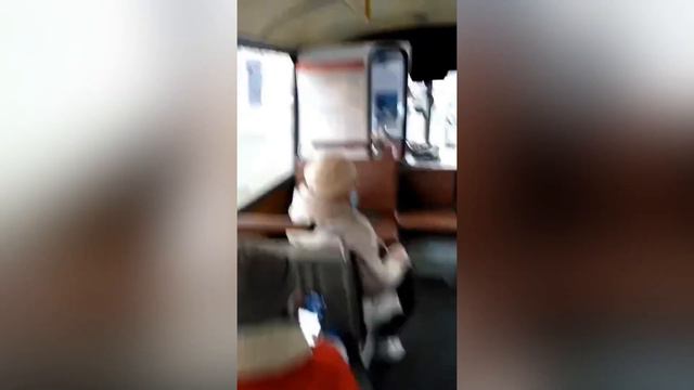 В Оренбурге водитель выкинул из автобуса мужчину, который отказывался надевать маску смотреть онлайн